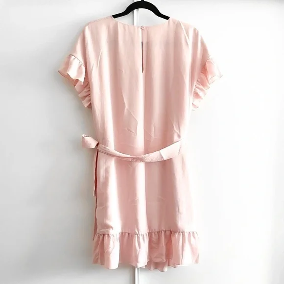 Aritzia Pink Ruffle Mini Dress - Picture 7 of 14